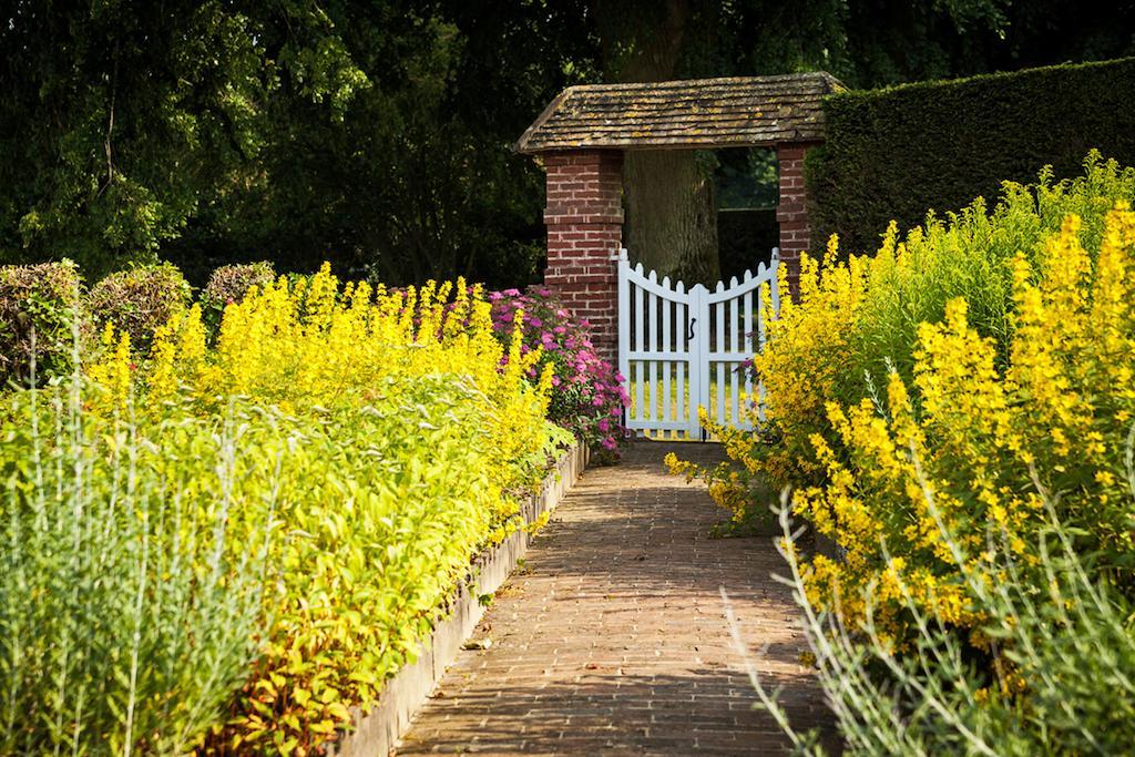 Chateau De Bouelles Bed & Breakfast Neufchâtel-en-Bray Екстериор снимка
